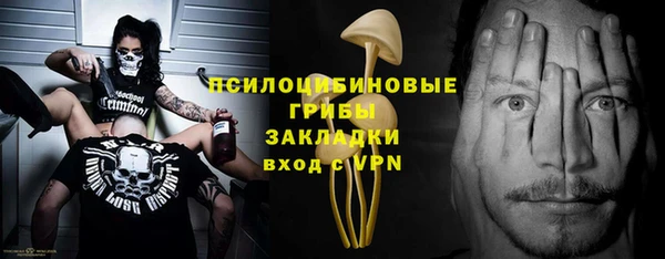дживик Краснослободск