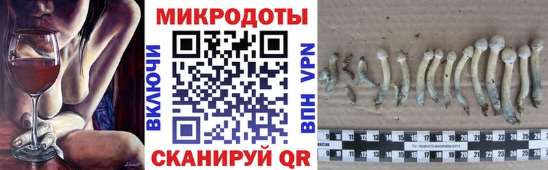 Купить Электрогорск Псилоцибиновые грибы Psilocybine cubensis